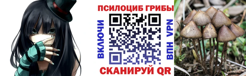 Псилоцибиновые грибы мухоморы Усть-Кут
