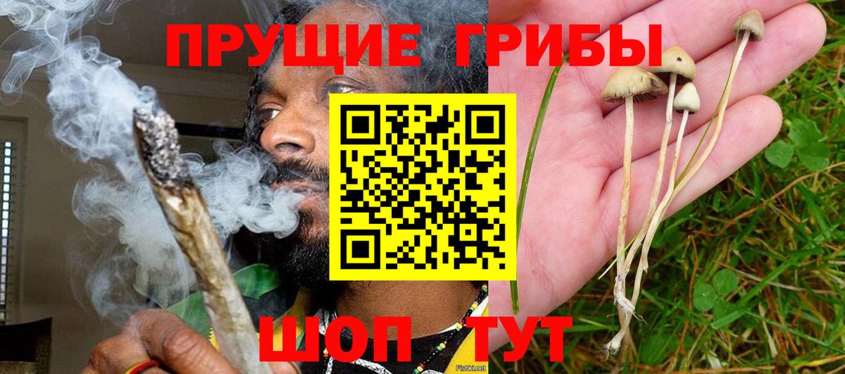 Галлюциногенные грибы MAGIC MUSHROOMS Усть-Кут