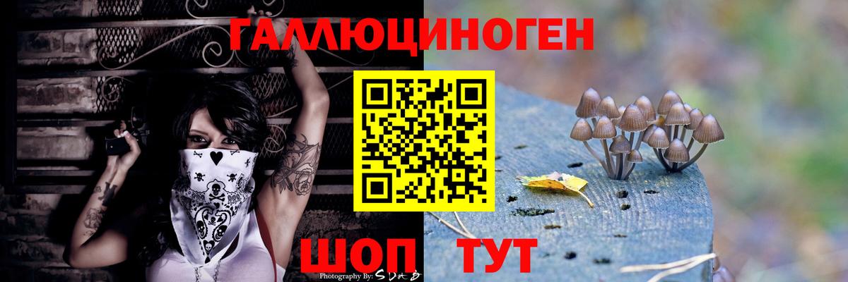 Усть-Кут  Псилоцибиновые грибы Psilocybine cubensis  Вход с VPN 
